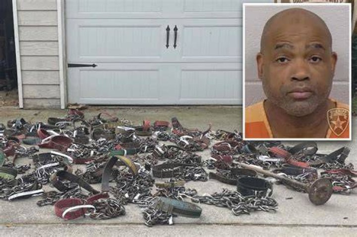 
305 dogs rescued, 20 people arrested in dogfighting raids in South Carolina 
