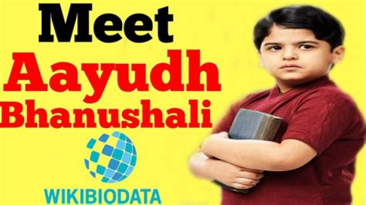 Aayudh Bhanushali Height, Weight, Net Worth, Age, Birthday, Wikipedia, Who, Instagram, Biography