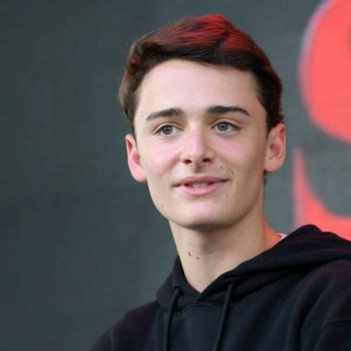 
Noah Schnapp Opened Up About Being A Gay On A TikTok Video 
