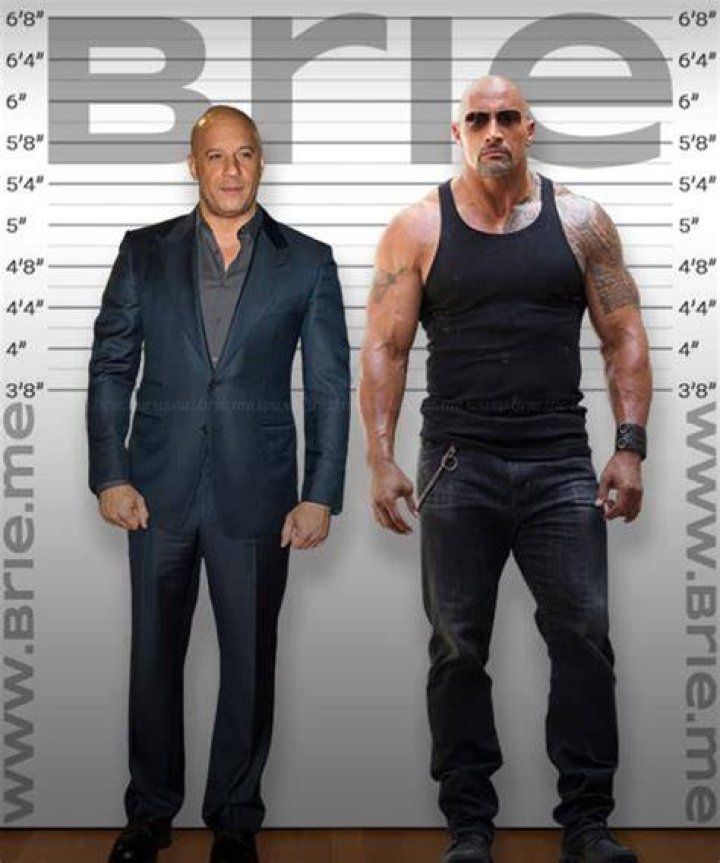 
Vin Diesel Height, Weight, Net Worth, Age, Birthday, Wikipedia, Who, Nationality, Biography 