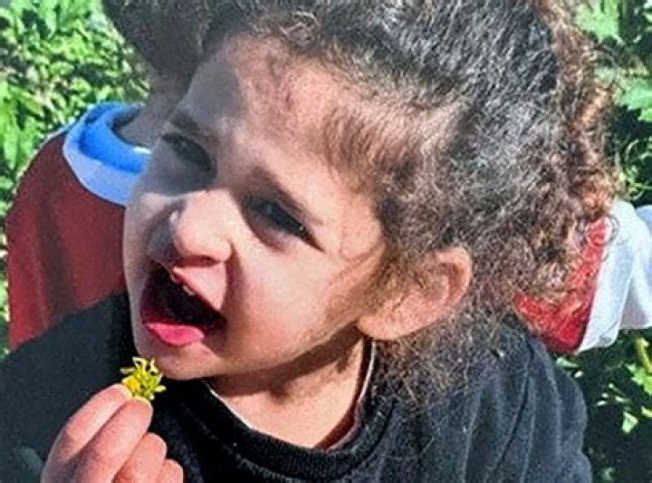 
Who is Avigail Idan? 4-year-old Israeli-American hostage released by Hamas 